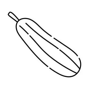 Vegetable marrow black line icon Stock Illustration