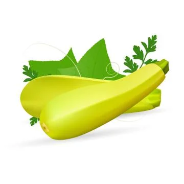 Vegetable Marrow Courgette Or Zucchini Isolated On A White Background. Stock Illustration