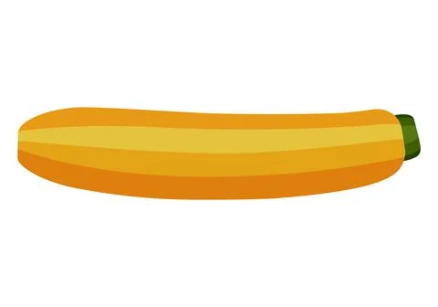 Vegetable marrow. Vector graphics on a white background. Stock Illustration