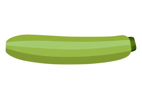 Vegetable marrow. Vector graphics on a white background. Illustrazione stock