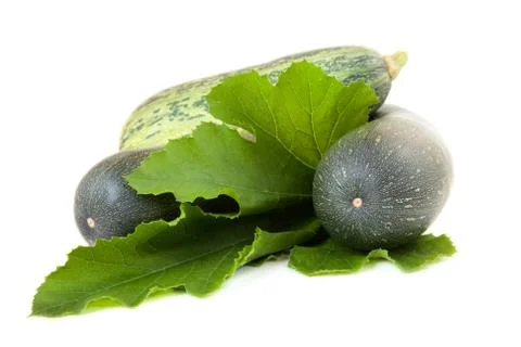 Vegetable marrows with green sheet isolated Stock Photos
