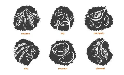 Vegetable milk. Vector sketch set. Natural soy, coconut, pumpkin, almond, ses Stock Illustration