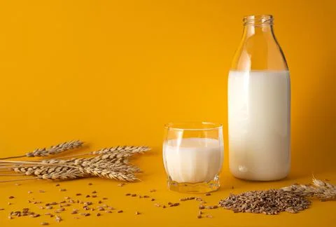 Vegetable milk from wheat Stock Photos
