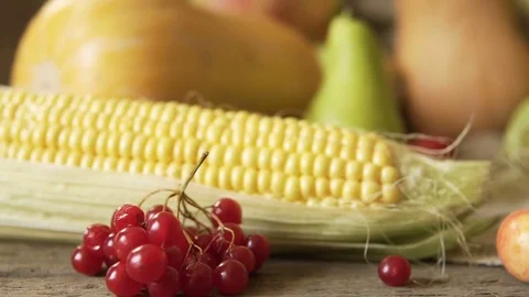 Vegetable mix on the table. Top view. Old table with a variety of vegetables and Stock Footage 81157412