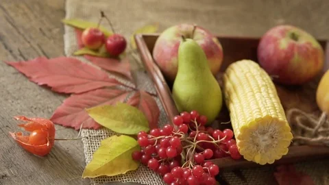 Vegetable mix on the table. Top view. Old table with a variety of vegetables and Stock Footage 81227091