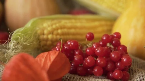 Vegetable mix on the table. Top view. Old table with a variety of vegetables and Stock Footage 84396627