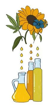 Vegetable oil extraction process, hemp oil, sunflower oil,flaxseed oil,sunflower Stock Illustration