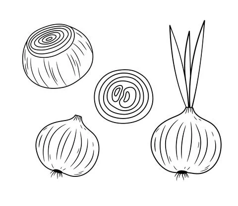 Vegetable onion bulb and ring. Fresh Peeled onion icon isolated on white. Vector Stock Illustration