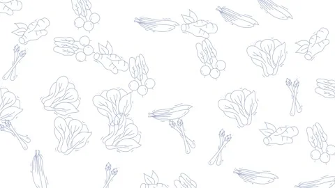 Vegetable Outlines - A Minimalist Food Pattern Animation. Stock Footage 321846572