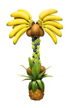 Vegetable palm. Stock Photos