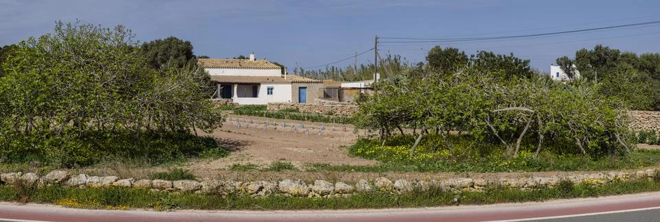 Vegetable patch, Formentera, Pitiusas Islands, Balearic Community, Spain Stock Photos