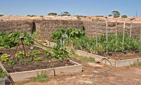 The vegetable patch Stock Photos