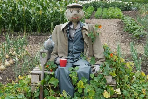 A vegetable patch scarecrow. 스톡 사진