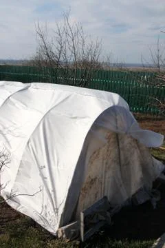 Vegetable patch with seedlings covered with spunbond against ground frost i.. Stock Photos