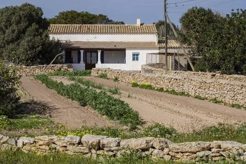  vegetable patch vegetable patch, Formentera, Pitiusas Islands, Balearic C... Stock Photos