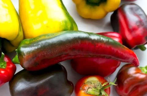 The vegetable Pepper. 스톡 사진