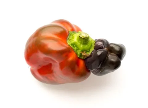 The vegetable Pepper. Photos