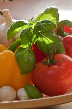Vegetable Stock Photos