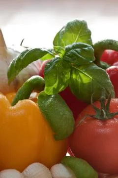 Vegetable Stock-Fotos