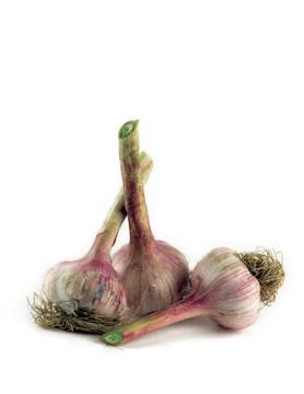 Vegetable Stock Photos