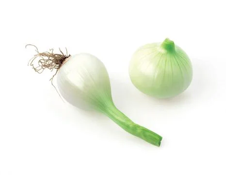 Vegetable Fotos Stock