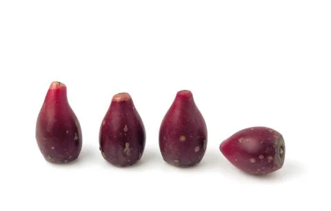 Vegetable Stock Photos