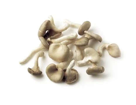 Vegetable Stock Photos