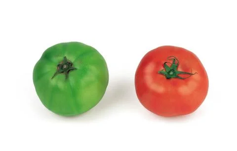 Vegetable 写真素材