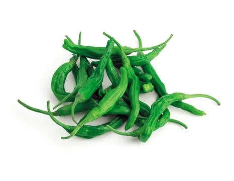 Vegetable Stock Photos