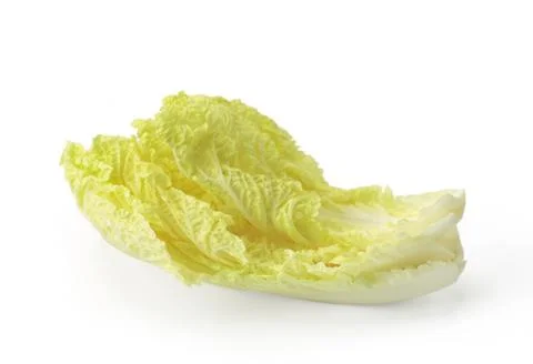 Vegetable 写真素材