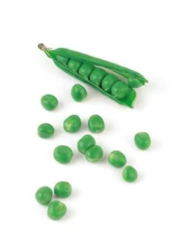 Vegetable Stock Photos