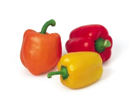 Vegetable Stock Photos