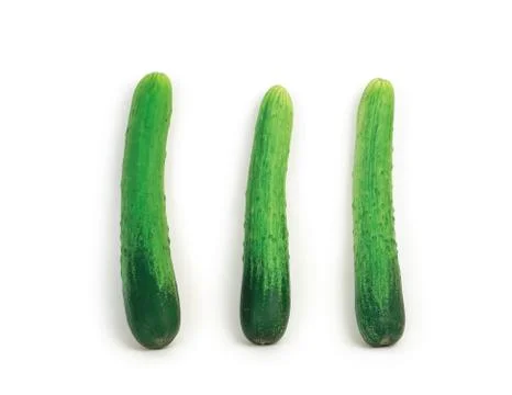 Vegetable Stock Photos