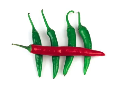 Vegetable 写真素材