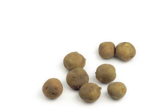 Vegetable Stock Photos