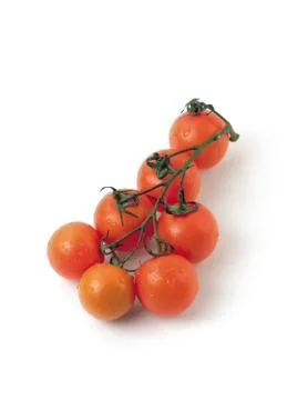 Vegetable Stock Photos