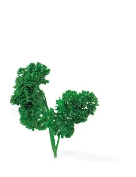 Vegetable Stock Photos