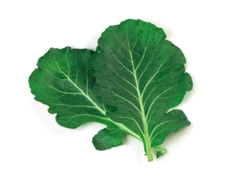 Vegetable Stock Photos