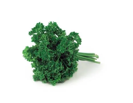 Vegetable 写真素材