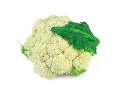 Vegetable 스톡 사진