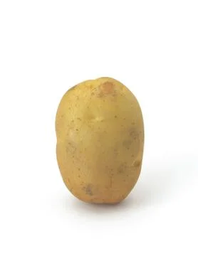 Vegetable Stock Photos