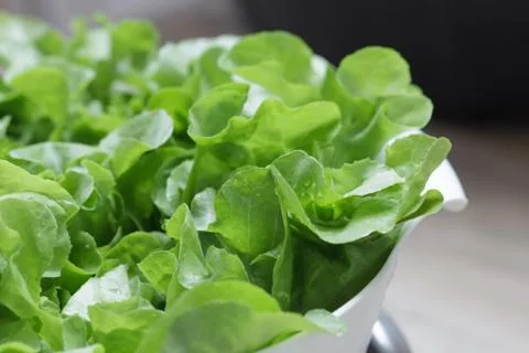 Vegetable Stock Photos