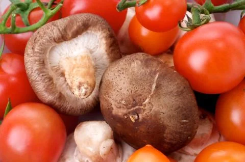 Vegetable Stock Photos