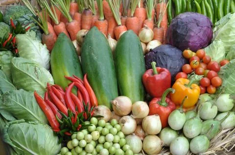 Vegetable Stock Photos