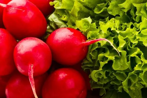 Vegetable Stock Photos