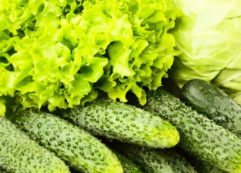 Vegetable Stock Photos