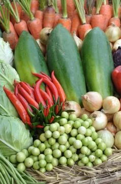 Vegetable Stock Photos