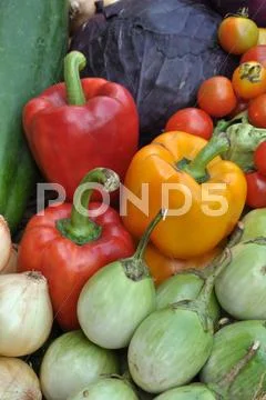 Vegetable Stock Photos