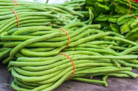 Vegetable Stock Photos