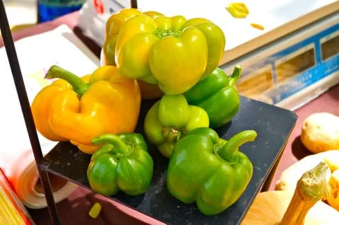 Vegetable Stock Photos